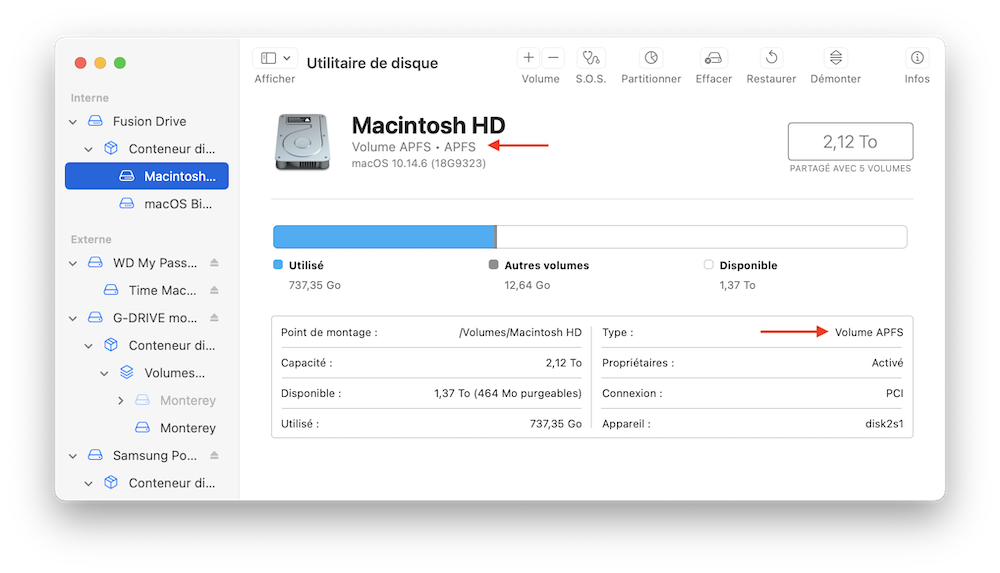 Image affichant le système de fichiers utilisé sur le disque principal (Macintosh HD) du Mac